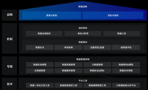 洞見未來，駕馭數據 國內優秀數據治理服務商及軟件開發指南